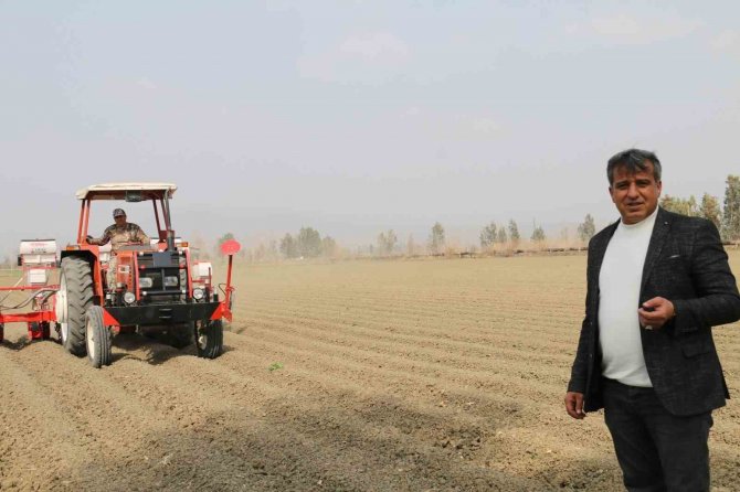 Kozan Ziraat Odası Başkanı Şahbazoğlu: "Mısırda Verim Düşüklüğü Yaşanabilir"