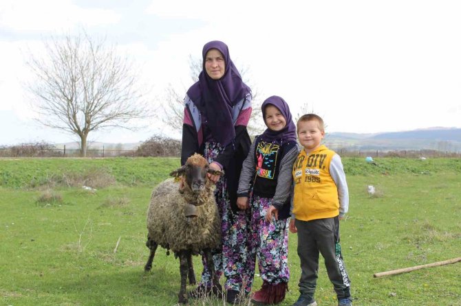 Kadın Üreticiler Destekleniyor