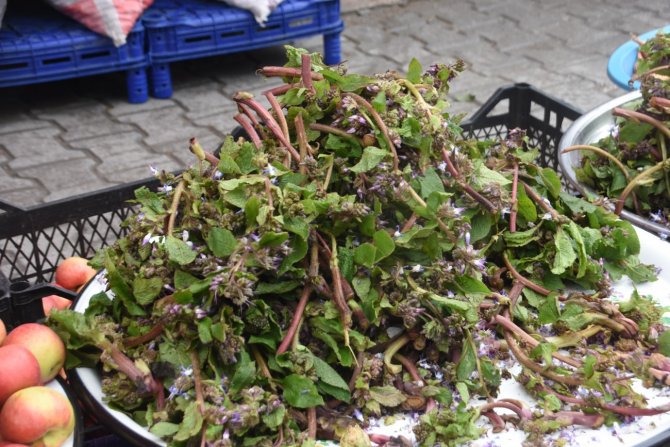 Sinop’ta “Zılbıt” Zamanı