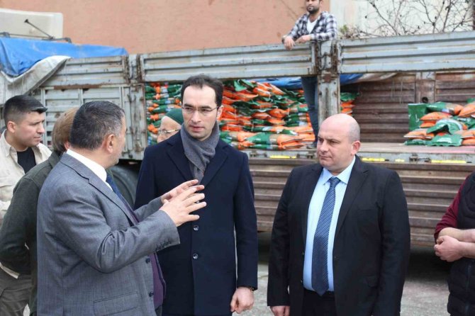 Çiftçilere Yem Bitkisi Tohumu Dağıtıldı