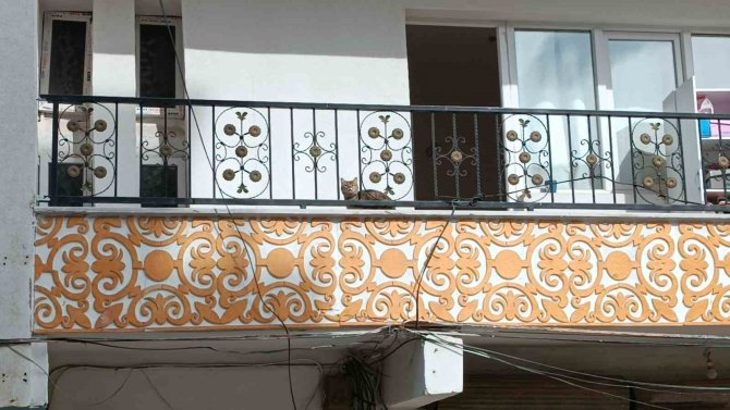Hasarlı Binada Kurtarılmak İstenen Kedi Atlayarak Kaçtı