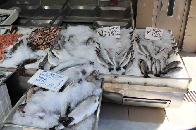 Balık Sezonunda Sona Yaklaşıldı, Tezgahlar Mezgit Ve İstavrite Kaldı