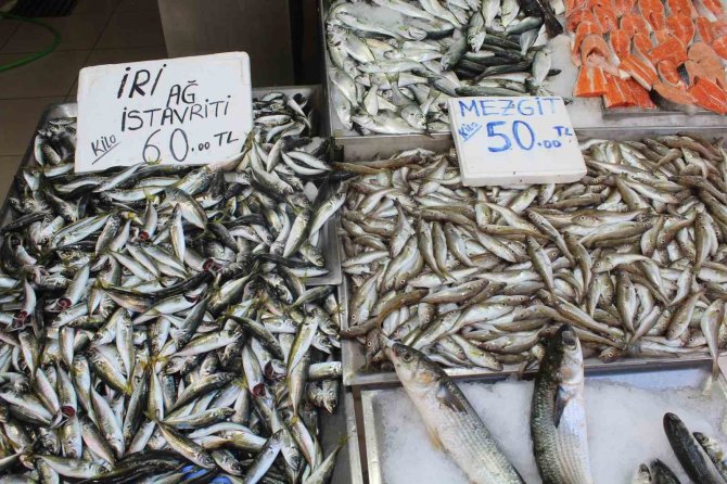 Balık Sezonunda Sona Yaklaşıldı, Tezgahlar Mezgit Ve İstavrite Kaldı