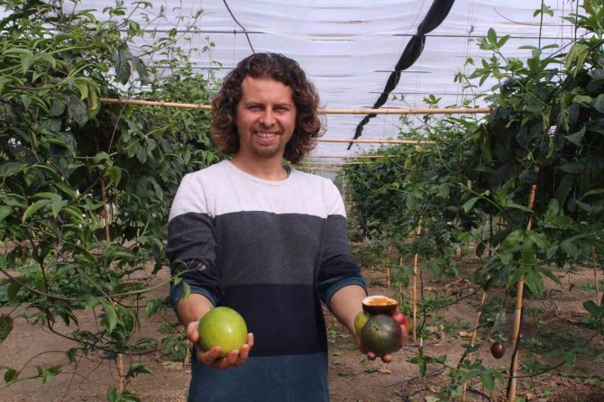 İ̇thal Meyveyi İ̇zmir’de Üretti, Rotayı Avrupa’ya Çevirdi