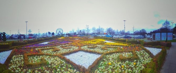Yalova Belediyesi’nden Peyzaj Çalışması