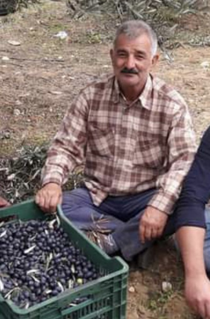 Kestiği Ağacın Altında Kalan Şahıs Hayatını Kaybetti