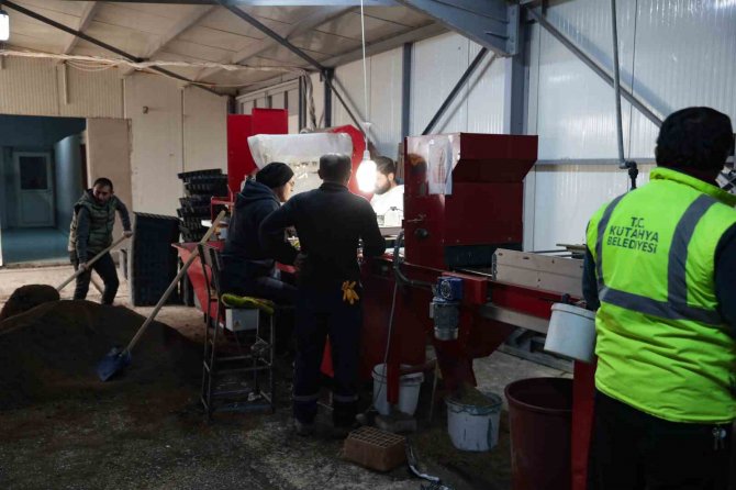 Belediye Kendi Çiçeklerini Üretiyor