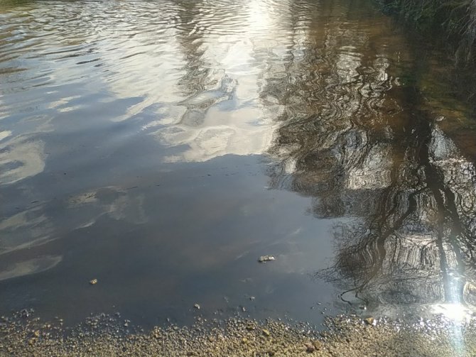 Büyükçekmece Barajı’na Akan Derede Kimyasal Atık Şüphesi