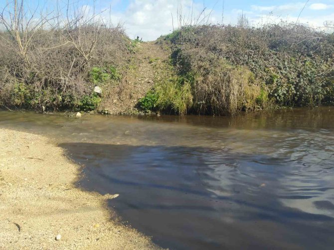 Büyükçekmece Barajı’na Akan Derede Kimyasal Atık Şüphesi