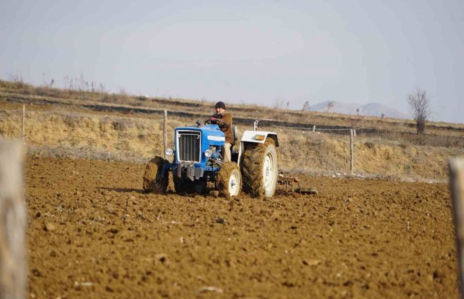 Dünyaca Ünlü Taşköprü Sarımsağı Toprakla Buluşuyor
