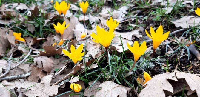 Karların Erimesiyle Şelale Oluştu