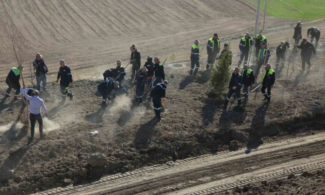 Konya Şeker’den Büyük Çevre Dönüşümü, Atık Toplama Alanı Ağaçlandırılıyor