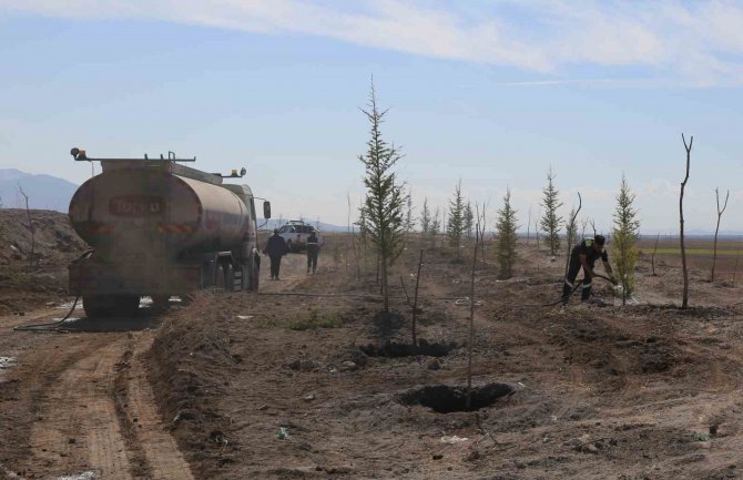 Konya Şeker’den Büyük Çevre Dönüşümü, Atık Toplama Alanı Ağaçlandırılıyor