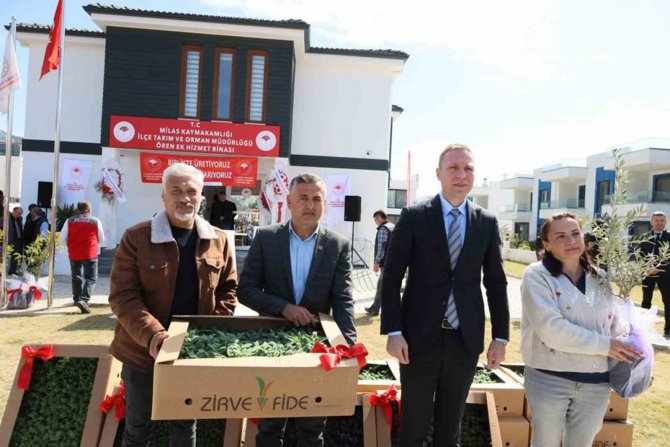 Ören’de Üreticilere 100 Bin Itri Bitki Dağıtıldı