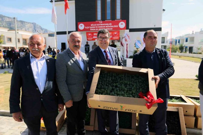 Ören’de Üreticilere 100 Bin Itri Bitki Dağıtıldı