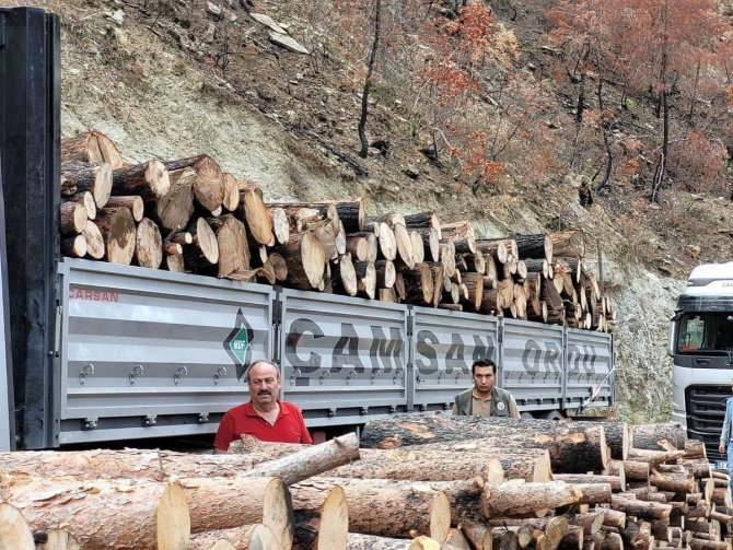 Oduncu Babanın 3 Çocuğu Ve Damadı ‘Orman Mühendisi’