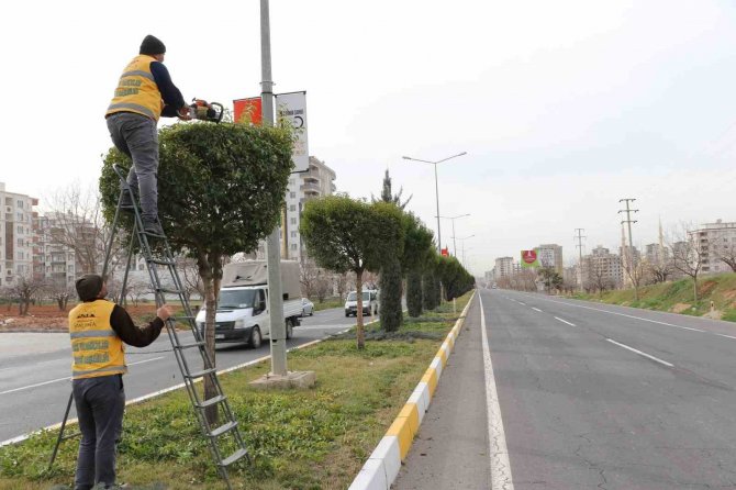 Şanlıurfa’da Çiçek Ekimi Yapıldı