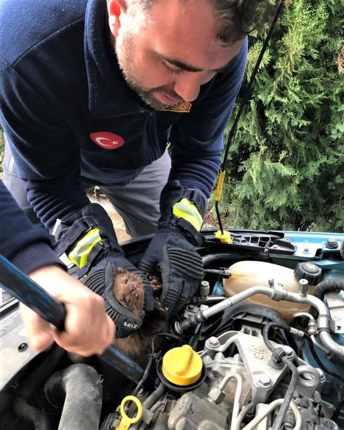 İ̇tfaiyecilerin Sansar Kurtarma Operasyonu