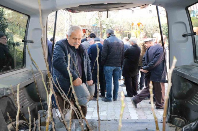 Coğrafi İşaret İçin Gün Sayan ‘Mor Patlıcan İnciri’ Fidanları Üreticilere Dağıtıldı