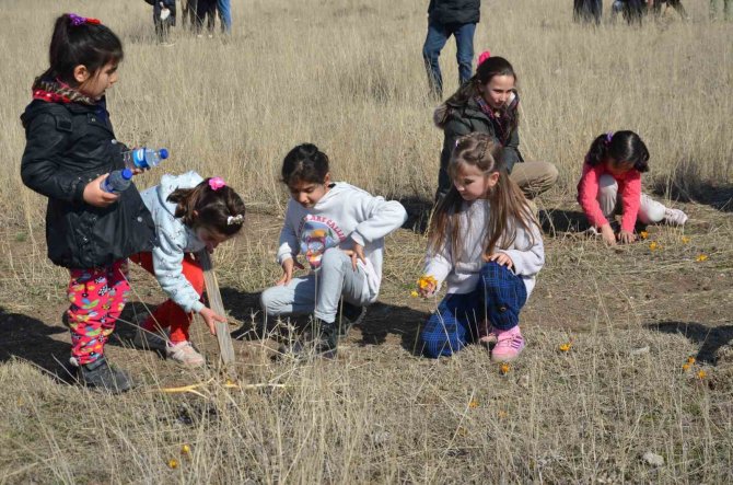 Unesco Listesindeki “Çiğdem Gezmesi