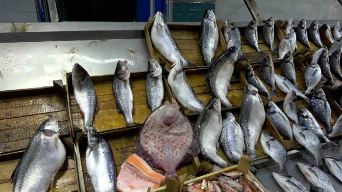 Balık Fiyatlarına Ramazan Düzenlemesi