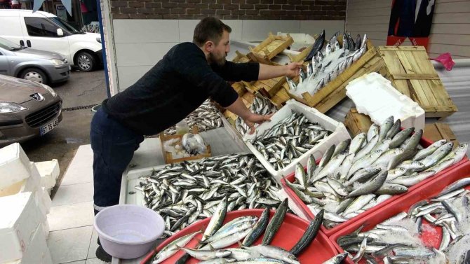 Balık Fiyatlarına Ramazan Düzenlemesi