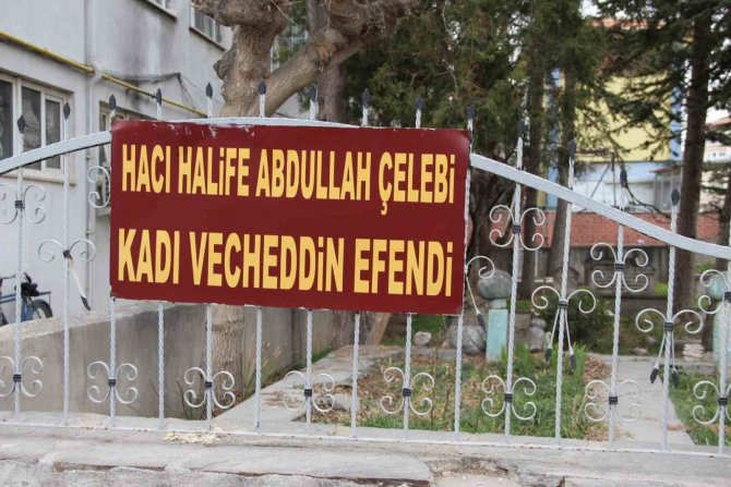 Mezar Başındaki Ağaçta Açan ‘Kavuğun’ Hikayesi