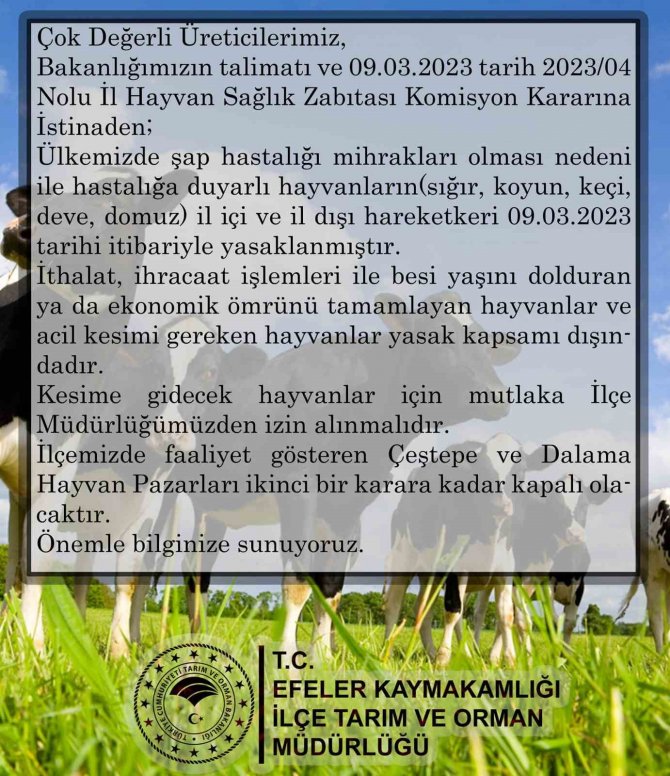 Aydın’da Hayvan Pazarları Kapatıldı