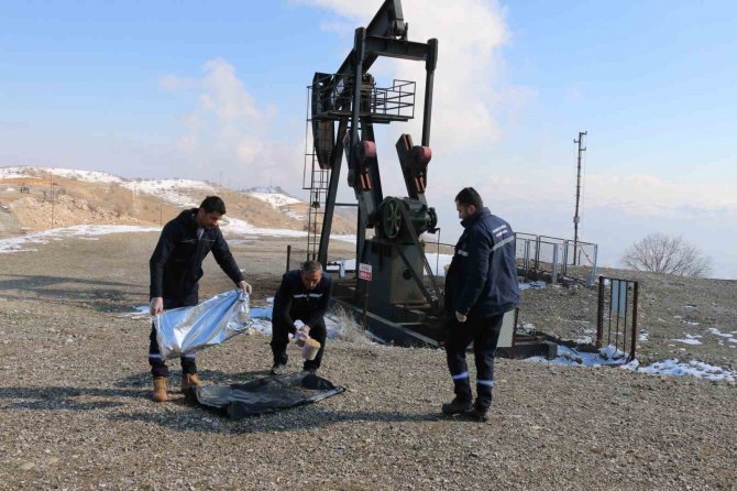 Batman’da Yiyecek Bulamayan Hayvanlar Unutulmadı