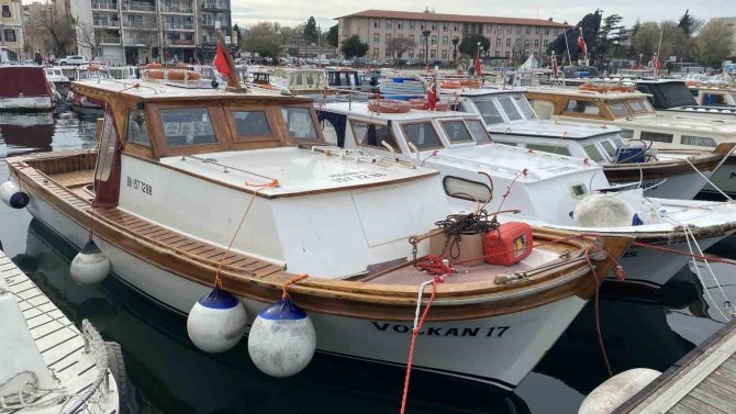 Nesli Tükenmekte Olan Köpek Balığı Teknede Doğum Yaptı