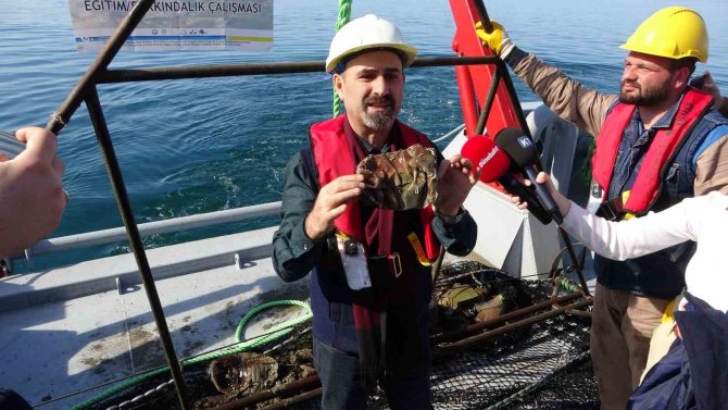 Doç. Dr. Coşkun Erüz: "Denizlerimiz Hızla Kirleniyor"