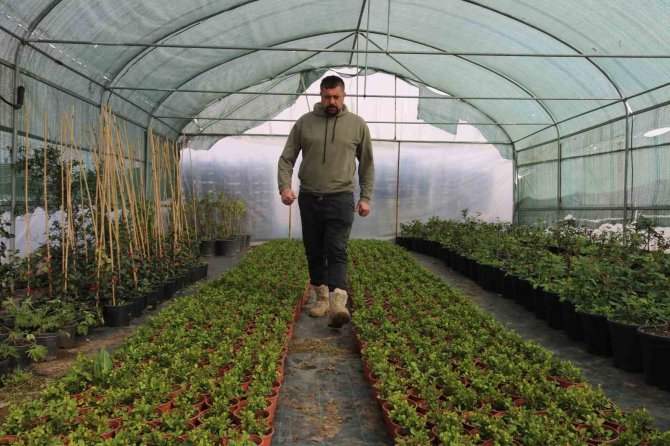 Depremin Ardından Bahçelere Yönelen Vatandaşların Fide Ve Bitkilere İlgisi Arttı