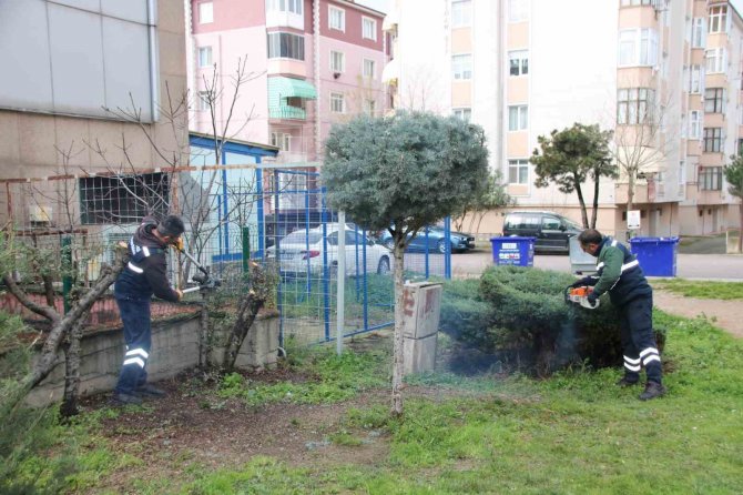Derince’nin Sokakları Bahara Hazırlanıyor