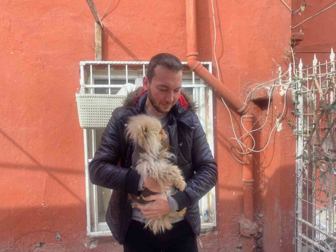 Eyüpsultan’da Cins Köpeği Böyle Çaldılar