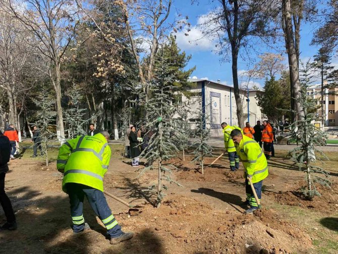 Gazi Üniversitesi Depremde Hayatını Kaybeden Öğrencilerini Fidanlarda Yaşatacak
