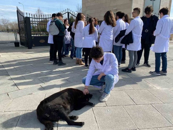 İ̇stanbul Üniversitesi Veteriner Fakültesi Öğrencileri Eylemlerini Sürdürüyor