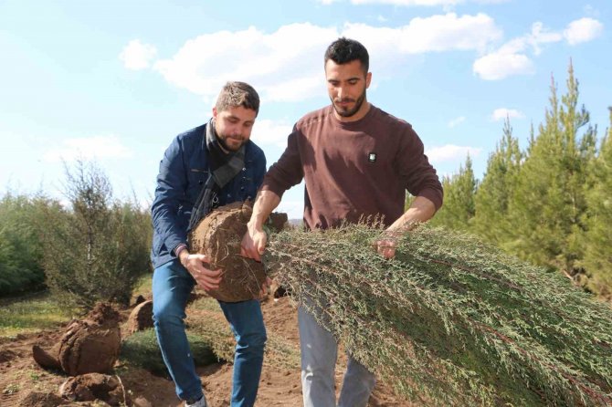 Depremde Hayatını Kaybeden Sağlıkçılar Adına Meslektaşları Hatıra Ormanı Oluşturdu