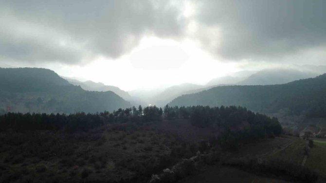 Ilgaz Dağı’nın Eteklerinde Mest Eden Sis Manzarası