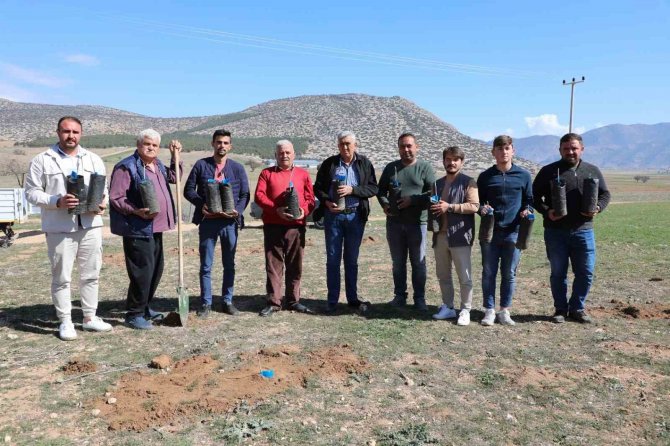 Korkuteli’de Antepfıstığı Yetiştiriciliği Yapılacak