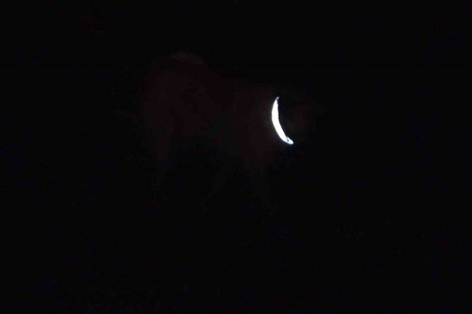 Trafik Kazalarına Sebep Oluyordu, Köpeklere Reflektörlü Tasma Takıldı