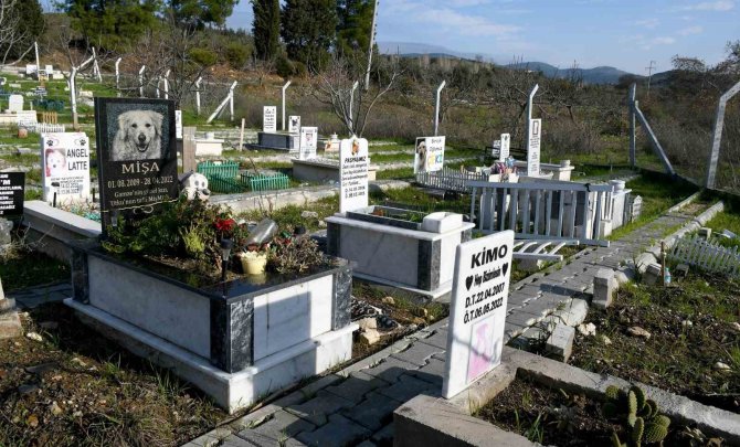 Kahraman Köpek Proteo’nun İsmi Kuşadası’nda Yaşayacak