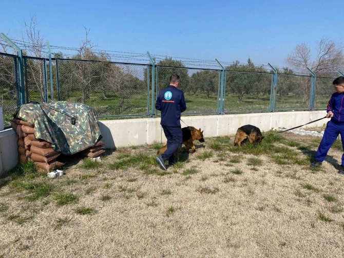 Eğitimlerini Tamamlayan 2 Köpek Jandarmaya Sahiplendirildi