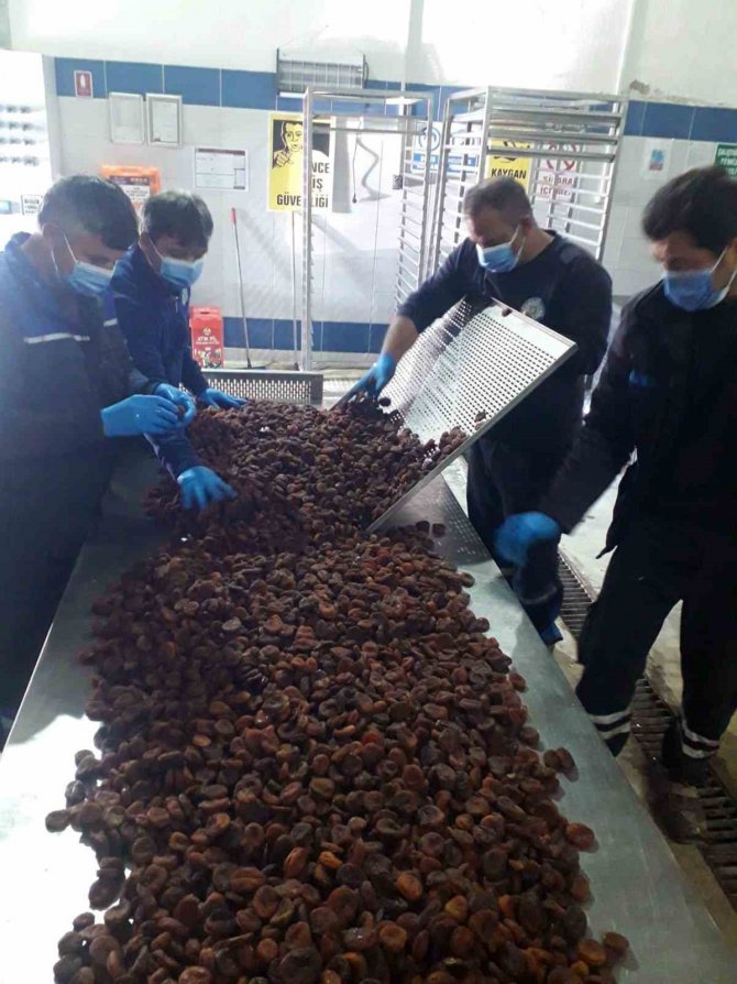 Büyükşehir, Malatya’da Üreticilerden Satın Aldığı Kayısıları Ücretsiz Dağıtacak