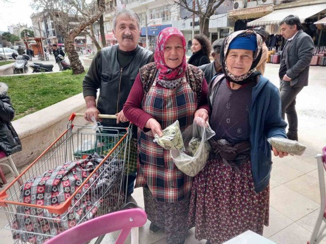 Hatice Nine’nin Hayallerini Milas Belediyesi Yıktı