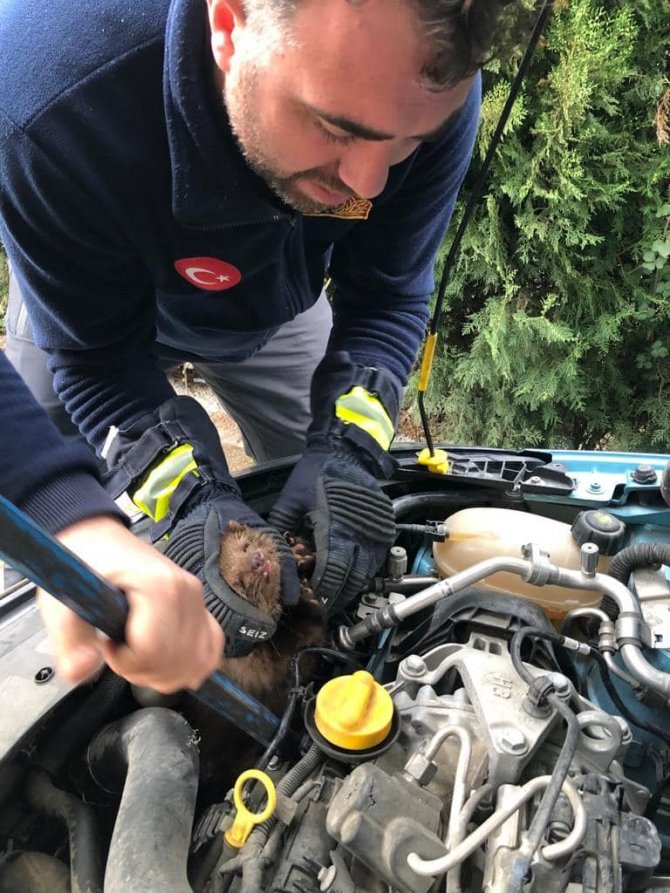 İ̇tfaiyecilerin Sansar Kurtarma Operasyonu Kameraya Yansıdı