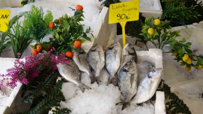 Siirtliler Kırmızı Et Yerine Balığa Yöneldi