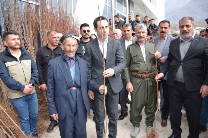 Şenoba Beldesinde Vatandaşa 10 Bin Meyve Fidanı Hibe Edildi