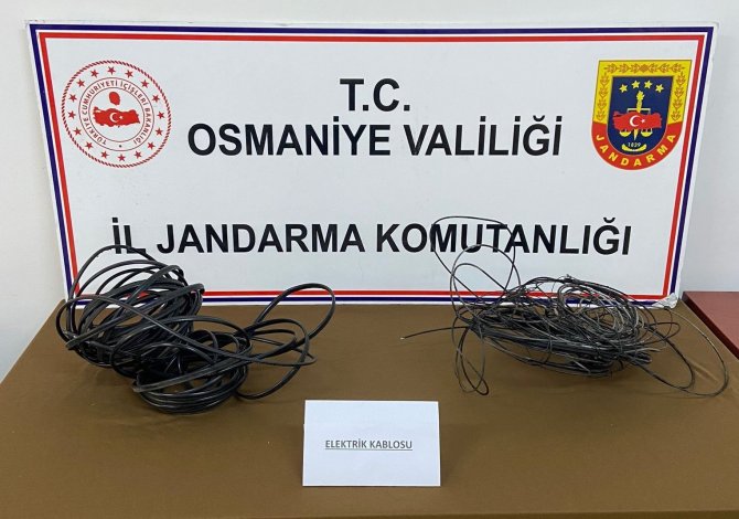 Telefon Direklerinden Kablo Hırsızlığına Tutuklama