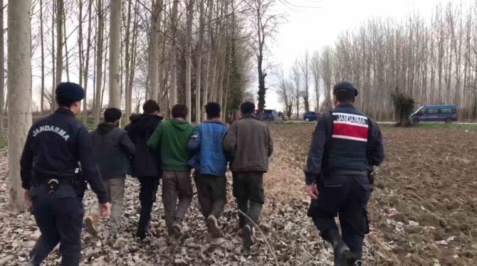 Ülkeye Kaçak Yollarla Giren 7 Yabancı Uyruklu Şahıs Yakalandı