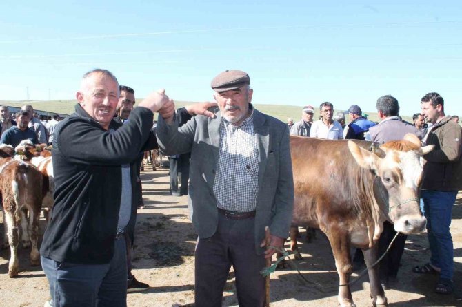 Bayburt’ta Canlı Hayvan Pazarı Kapatıldı, Şap Hastalığına Rastlanılmadı